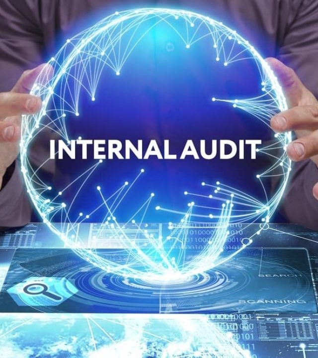 internal auditing & gap assessments​